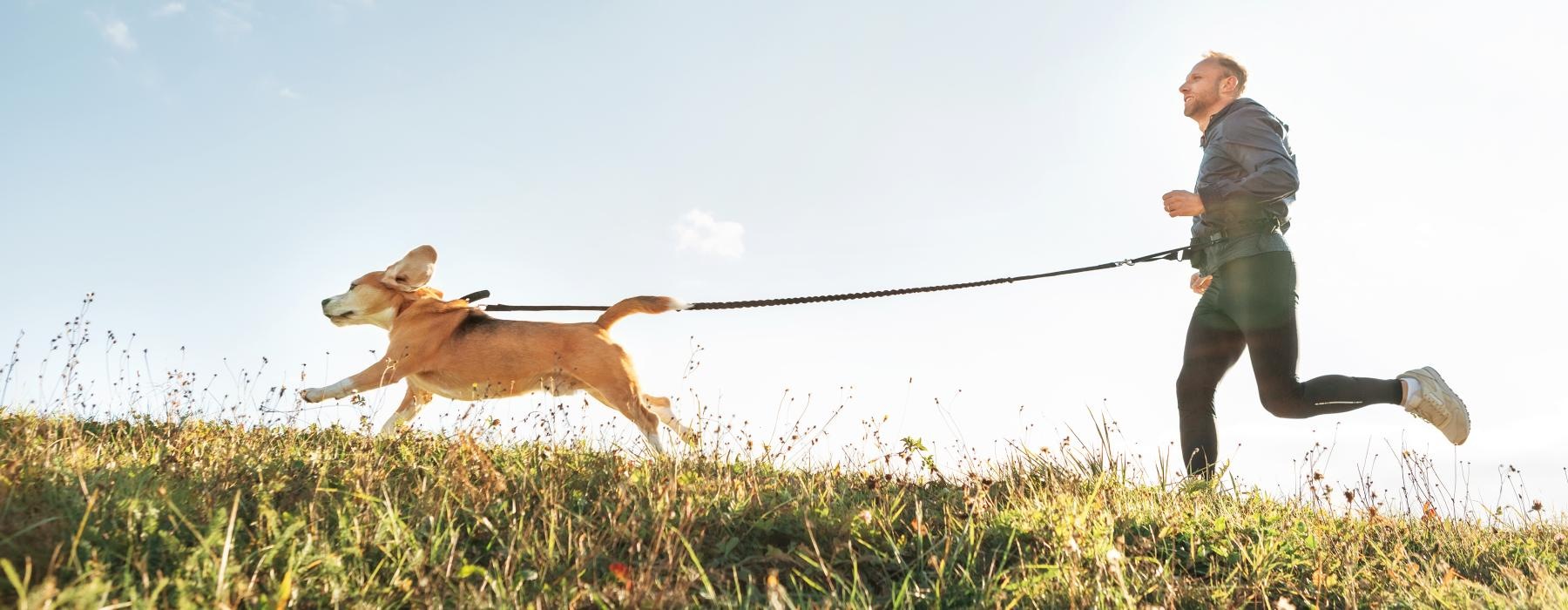 Petfriendly apartments in Mckinney, TX Vireo McKinney